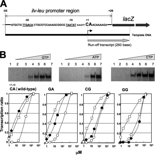 FIG. 8.