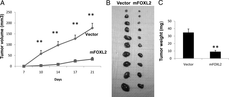 Fig. 9.