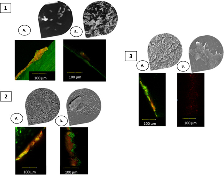 Fig. 4