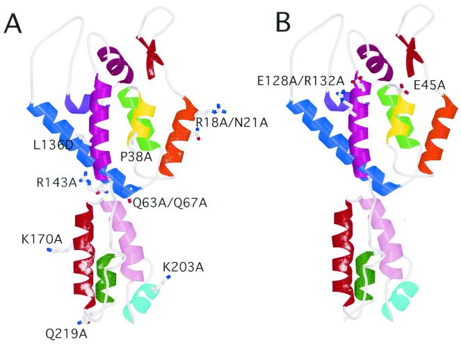 FIG. 8.