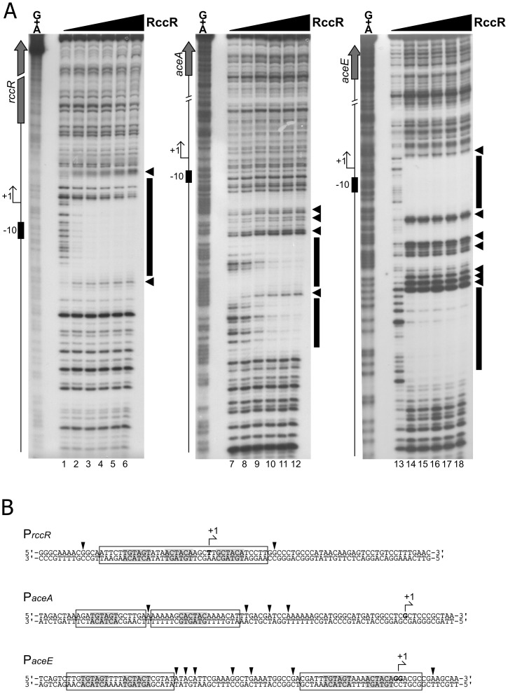 Fig 8