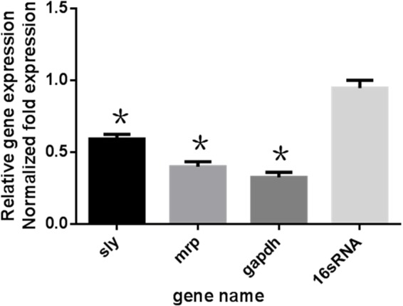 FIGURE 5