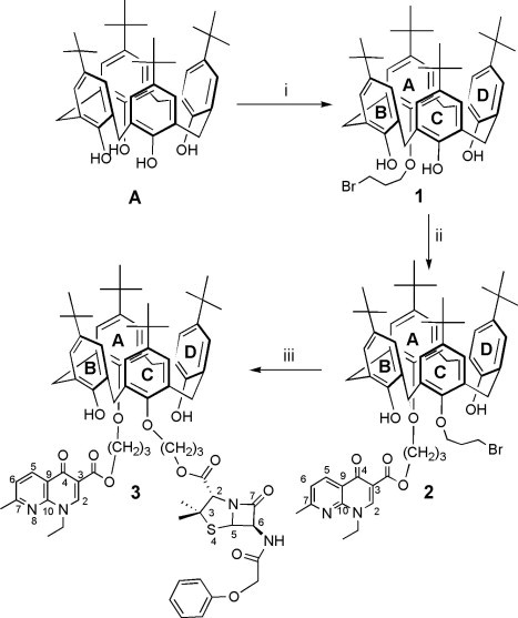 Scheme 2