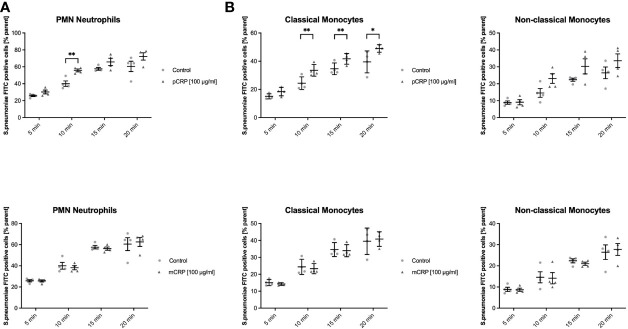 Figure 3