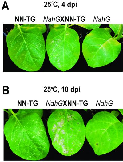 FIG. 5.