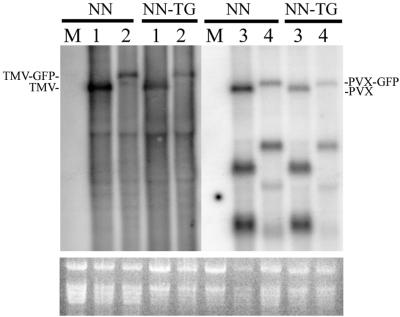 FIG. 3.