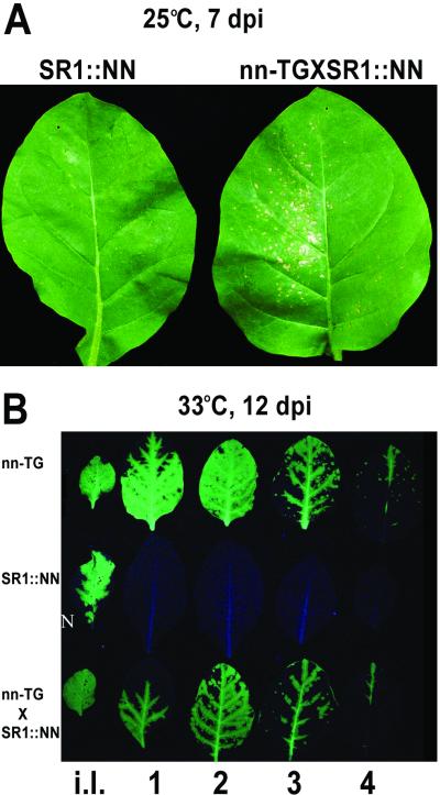 FIG. 4.