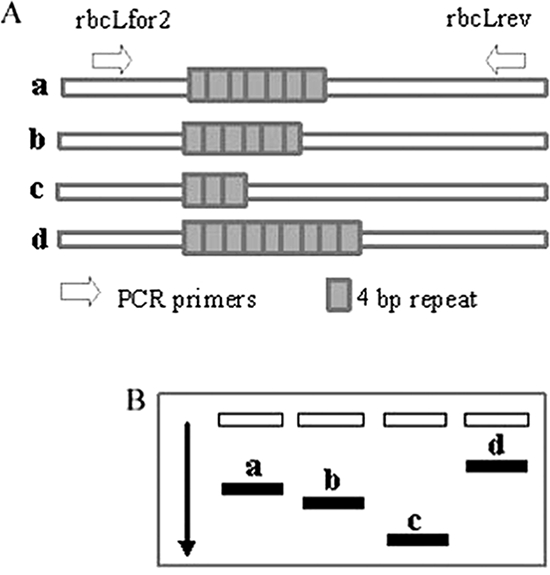 FIG. 2.