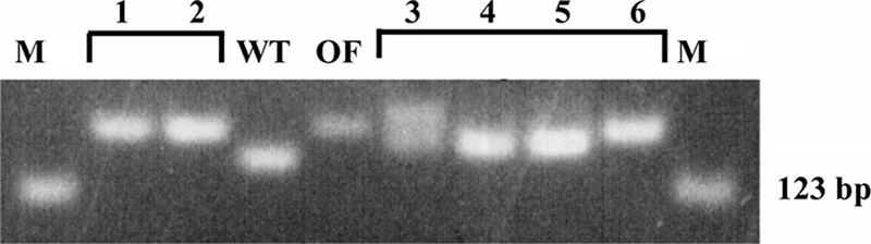 FIG. 6.