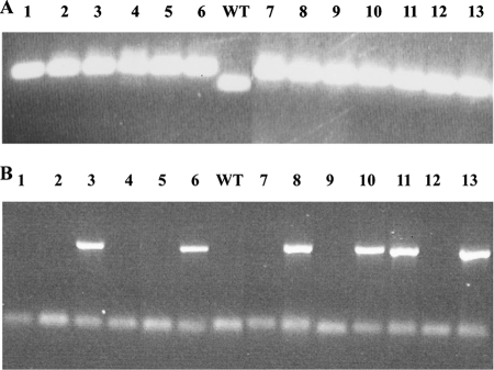 FIG. 7.