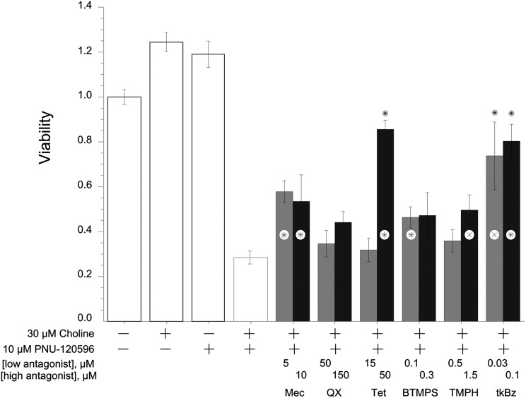 Fig. 10.