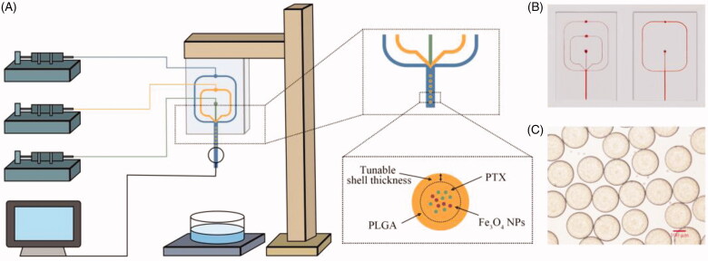 Figure 1.