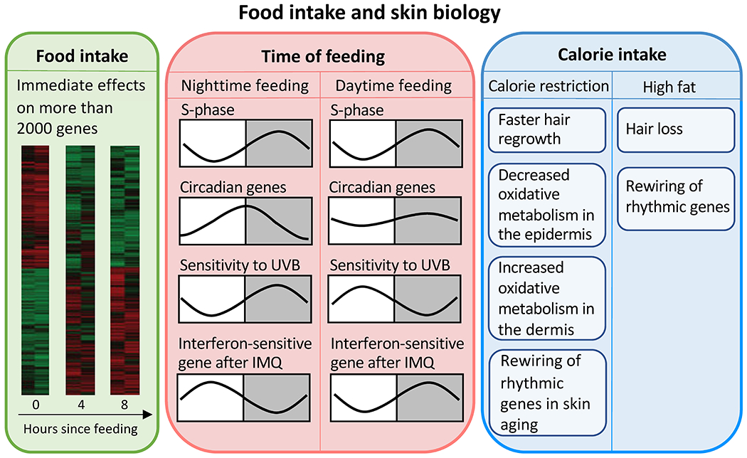 Figure 4: