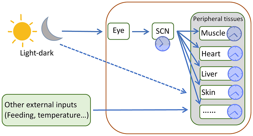 Figure 1: