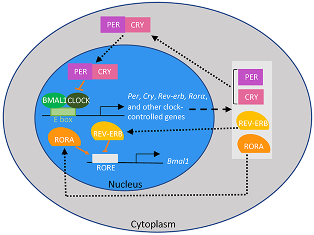 Figure 2: