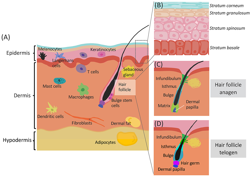 Figure 3: