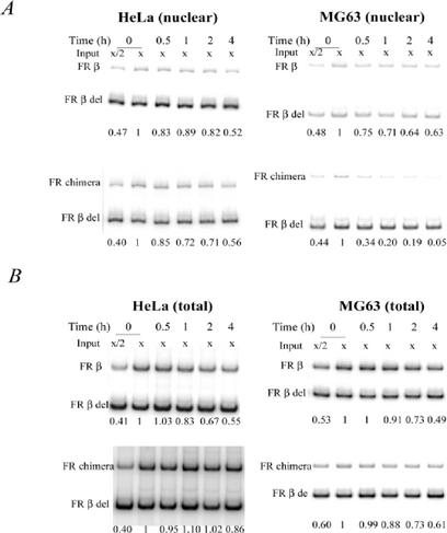 FIG. 7.