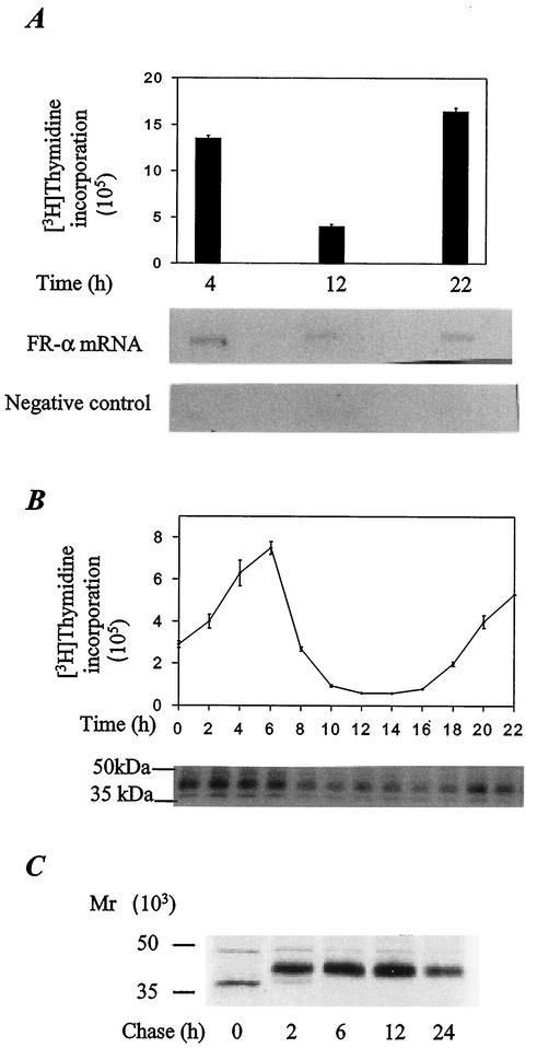 FIG. 8.