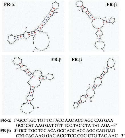 FIG. 9.