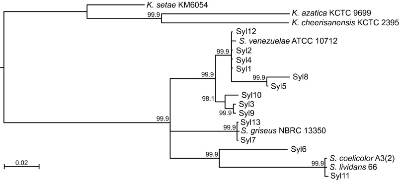 Fig. S3.