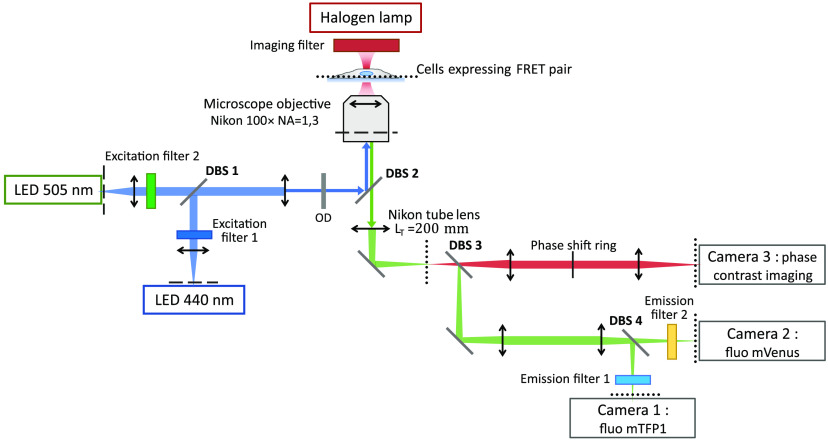 Fig. 2