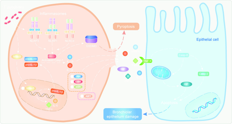 Fig 10