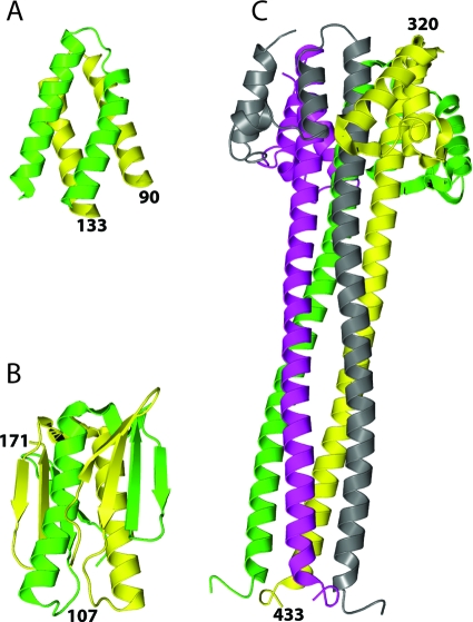 FIG. 3.