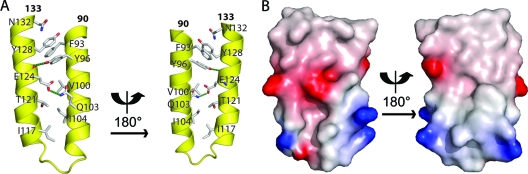 FIG. 1.