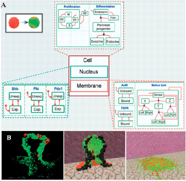 Figure 2: