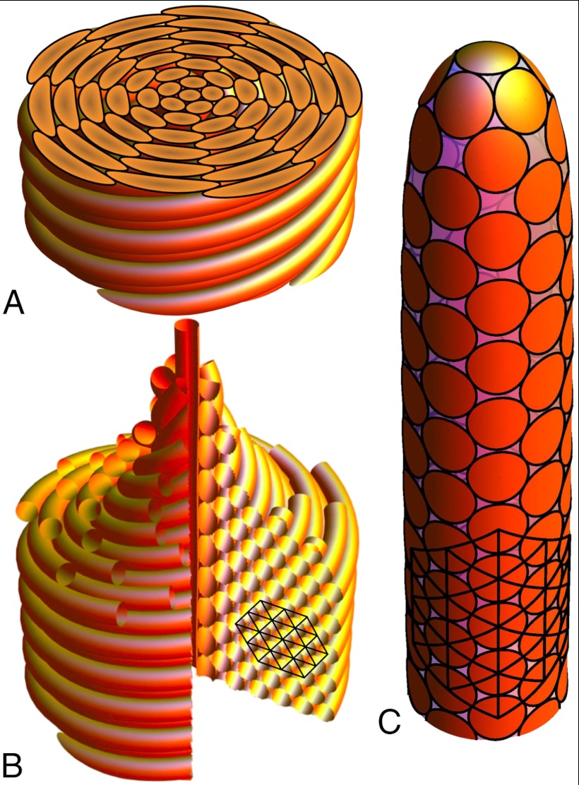 Fig. 1.