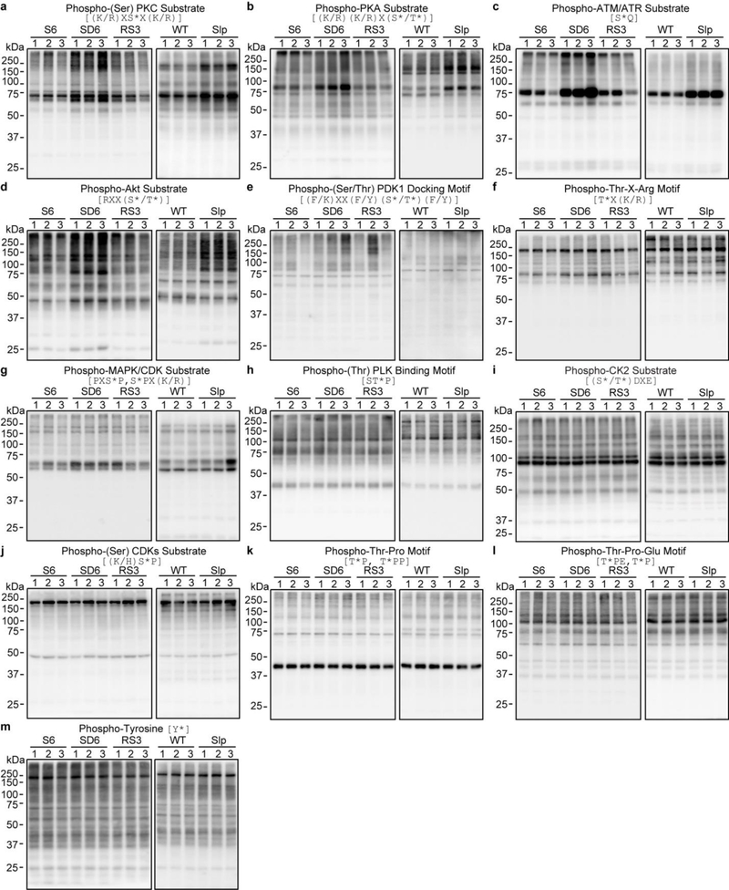 Extended Data Figure 2 |