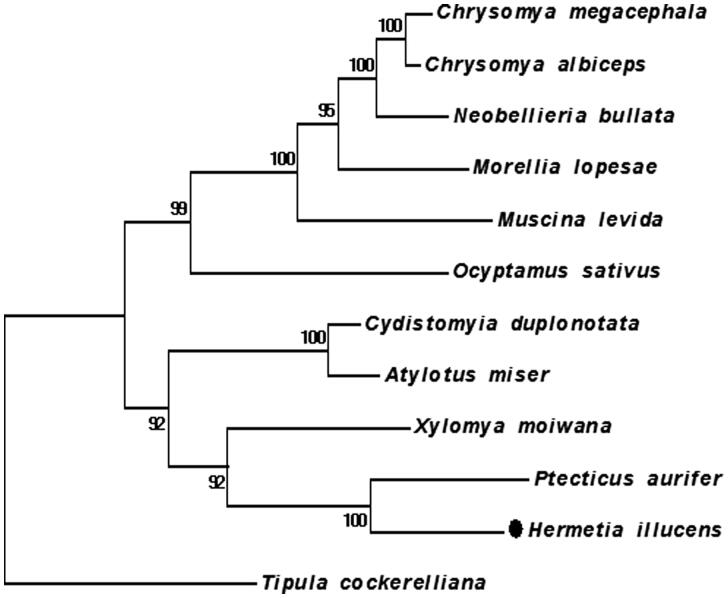 Figure 1.