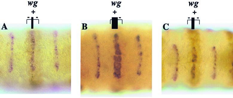 FIG. 6