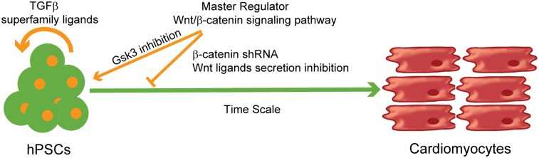 Fig. P1.