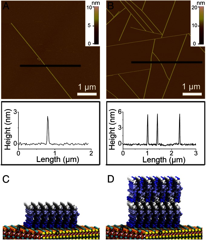 Fig. 1.