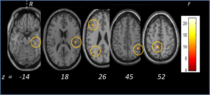 Fig 2