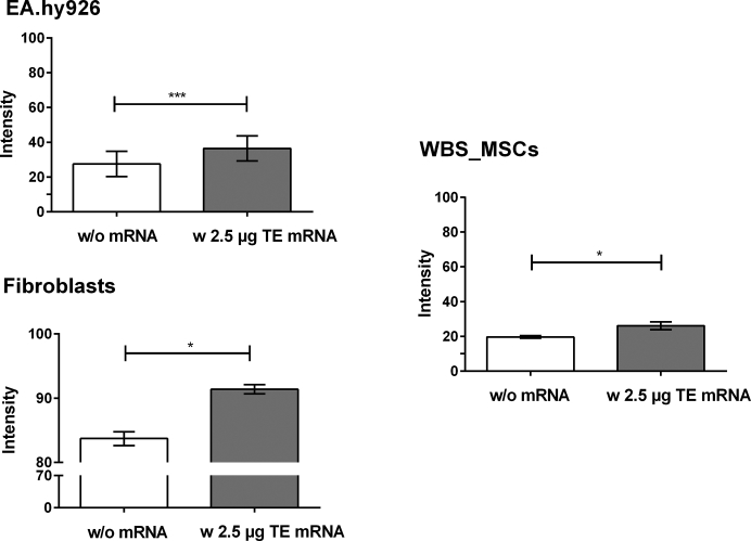 Figure 6