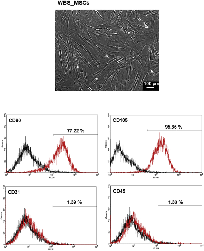 Figure 3