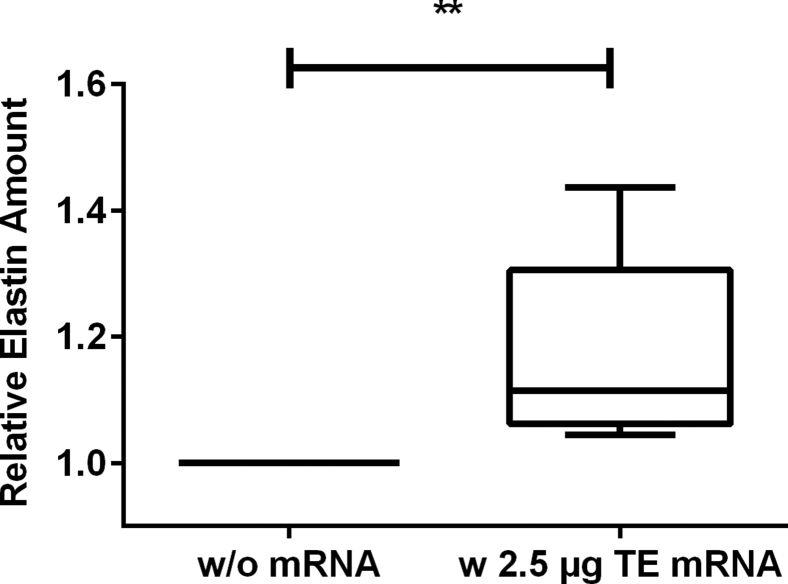 Figure 7