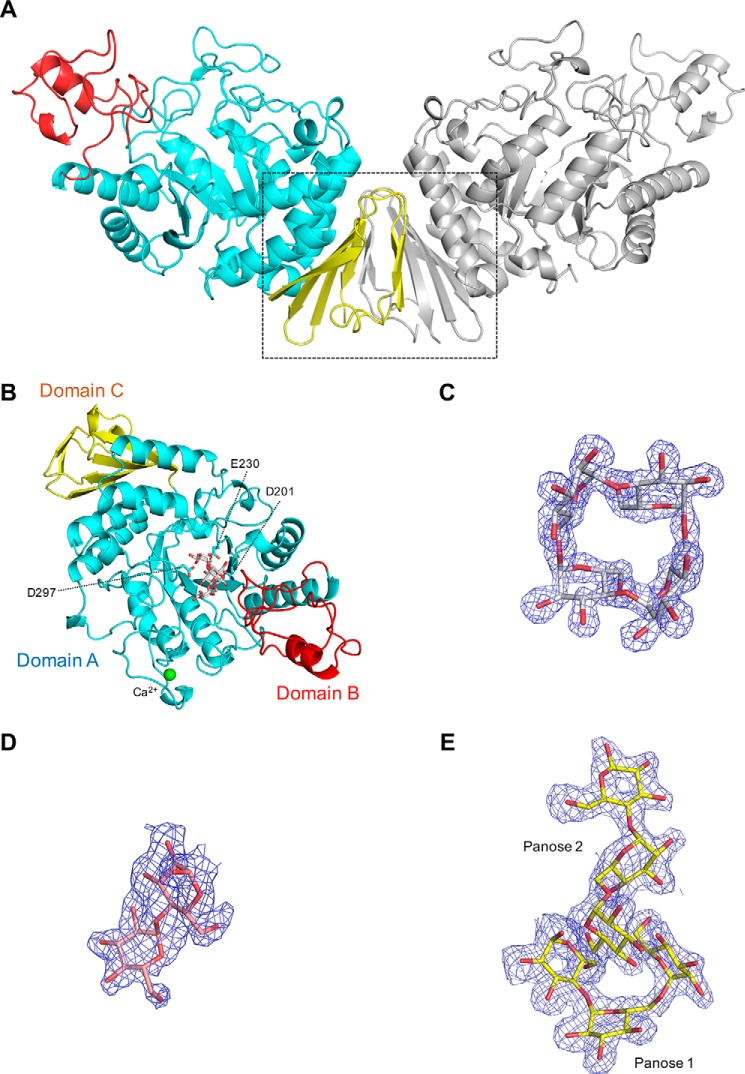 Figure 2.