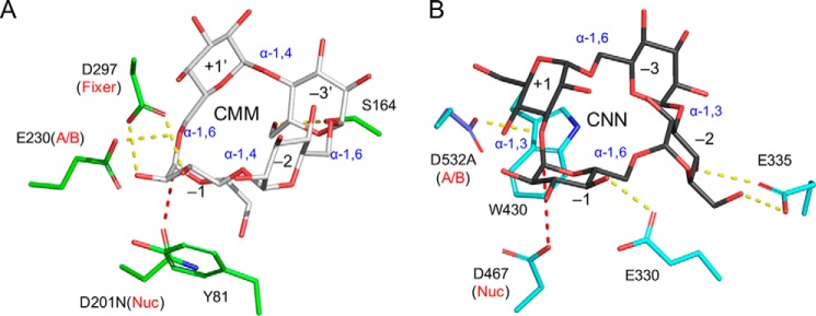 Figure 11.