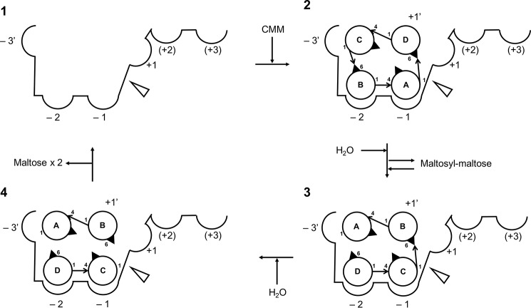 Figure 10.