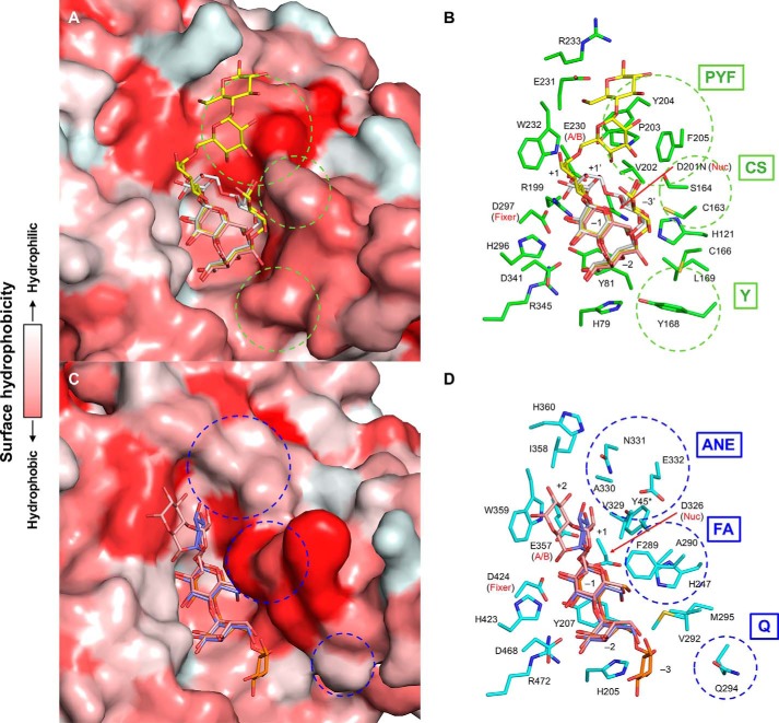 Figure 6.