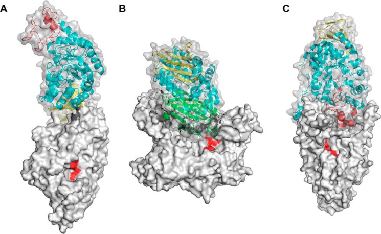 Figure 3.