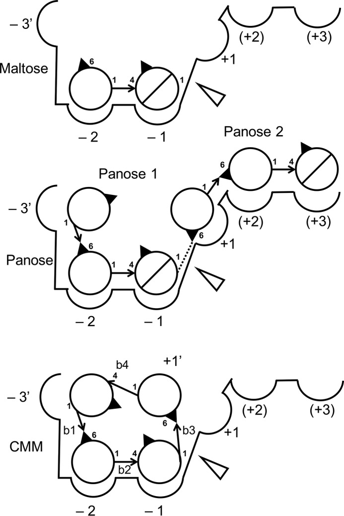 Figure 4.