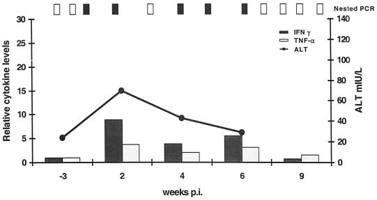 FIG. 7.