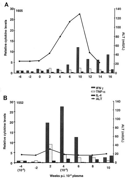 FIG. 6.