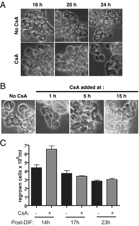 Figure 5.