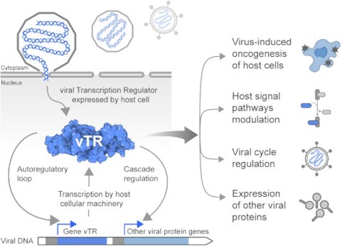 Graphical Abstract