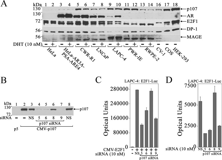 FIGURE 12.